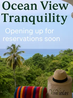 Ocean View Tranquility 